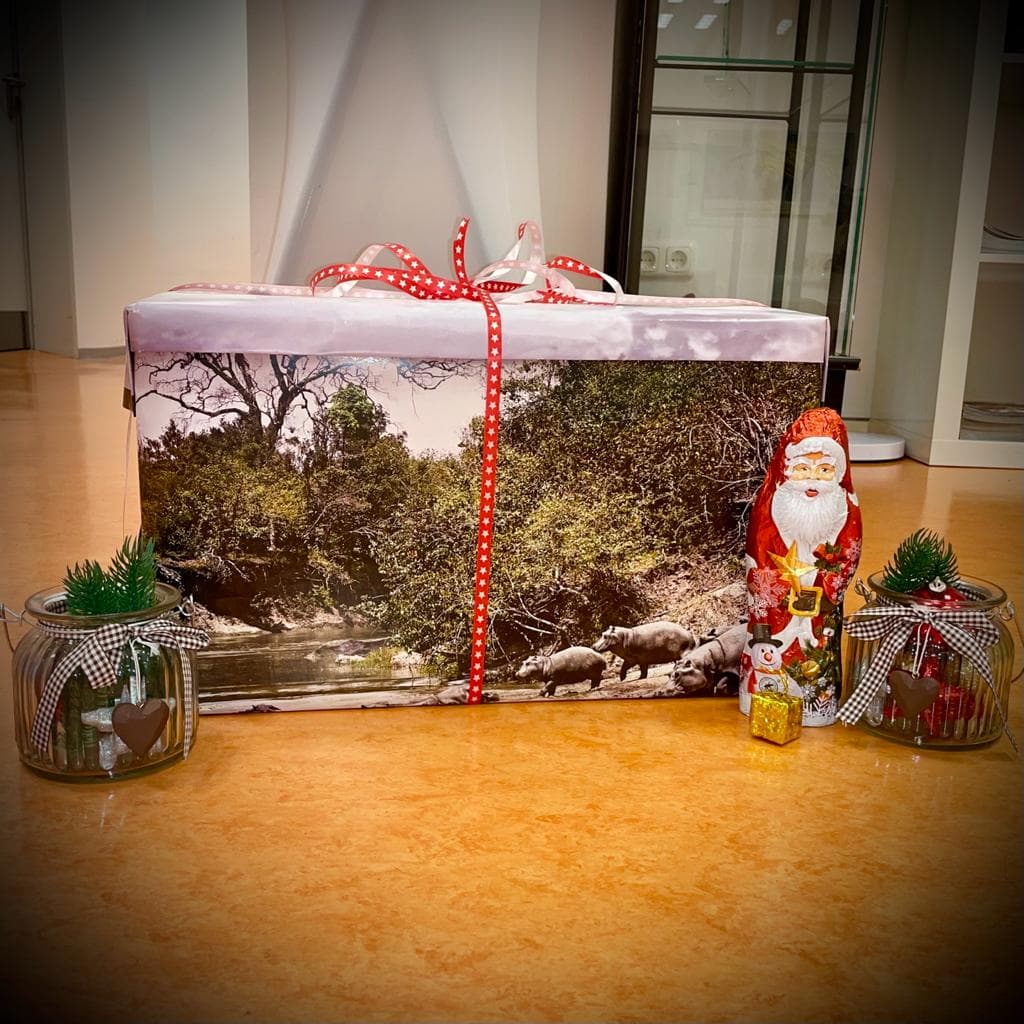 Johanniter-Weihnachtstrucker 2022